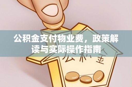 沣西公积金支付物业费，政策解读与实际操作指南