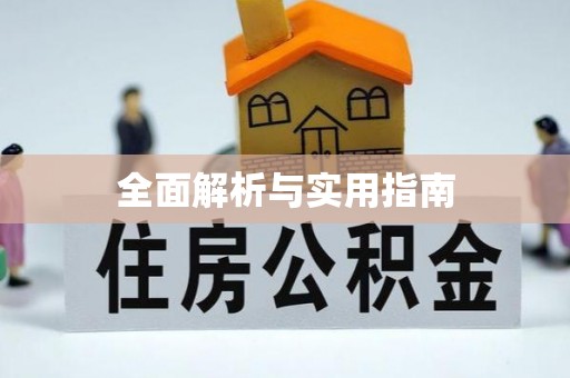 沣西全面解析与实用指南