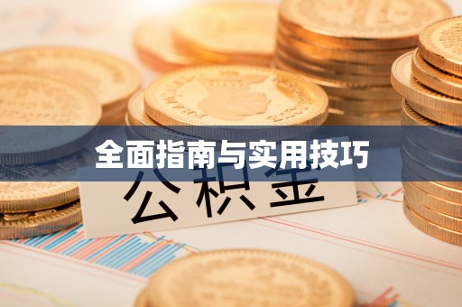 沣西全面指南与实用技巧