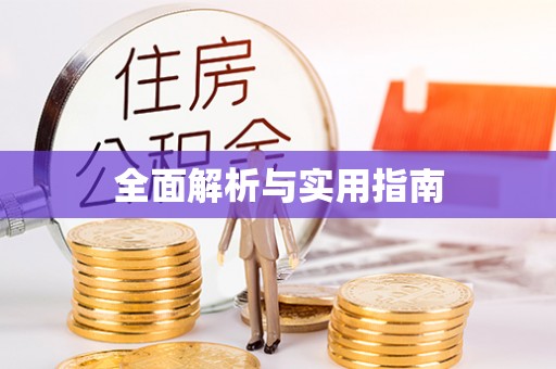 沣西全面解析与实用指南