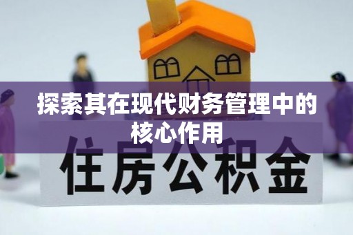 沣西探索其在现代财务管理中的核心作用