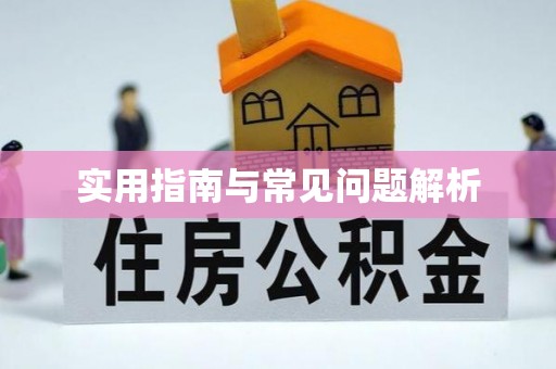 沣西实用指南与常见问题解析