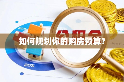 沣西如何规划你的购房预算？