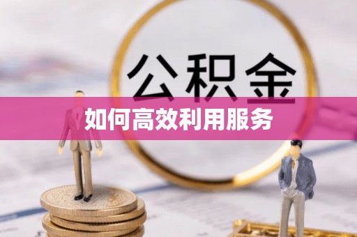 沣西如何高效利用服务