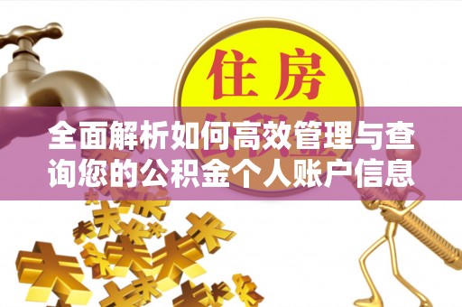 沣西全面解析如何高效管理与查询您的公积金个人账户信息
