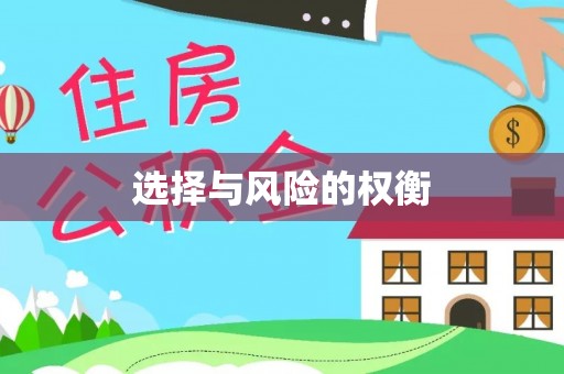 沣西选择与风险的权衡