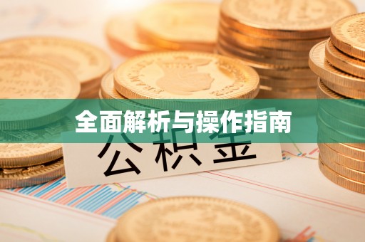沣西全面解析与操作指南