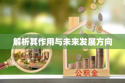 沣西解析其作用与未来发展方向