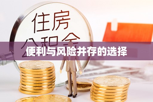 沣西便利与风险并存的选择