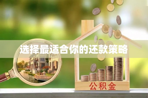 沣西选择最适合你的还款策略