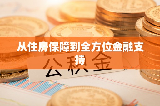 沣西从住房保障到全方位金融支持